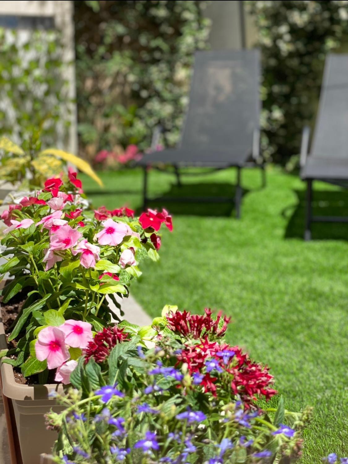 Ivy, 4 Minutes From The Sea Apartment Chania  ภายนอก รูปภาพ